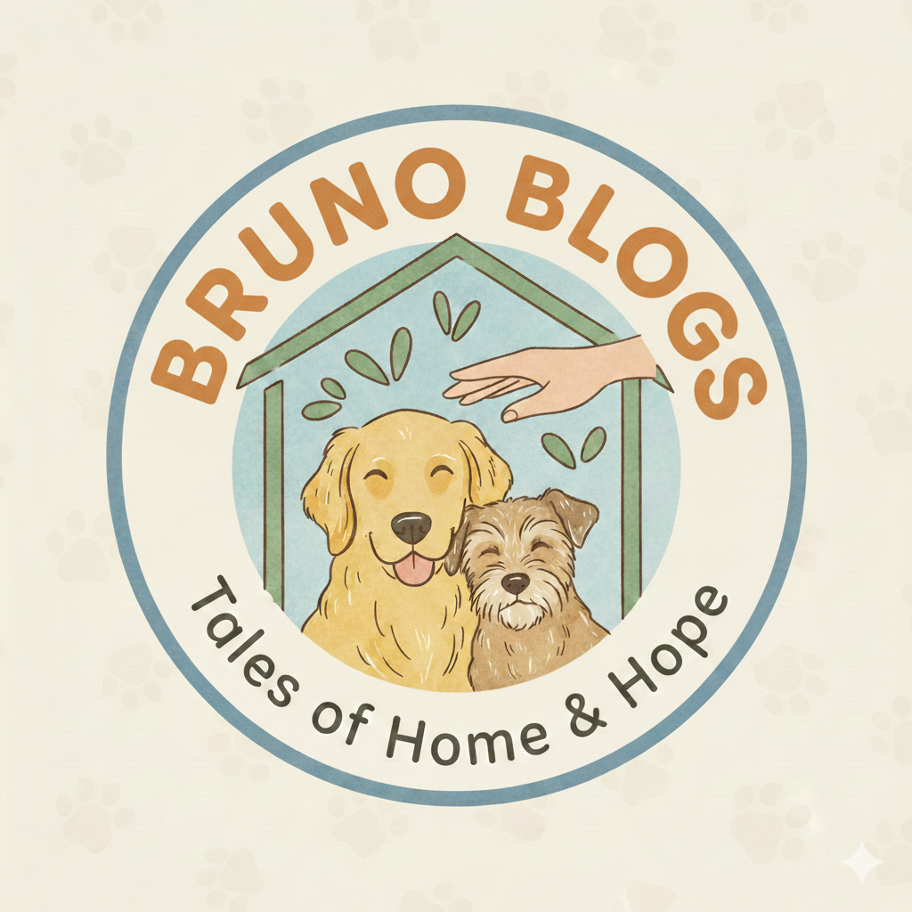 Bruno Blogs