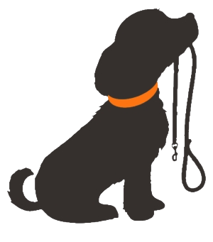 Shadow of a dog holding a leash in its mouth